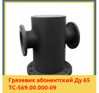 Грязевик абонентский Ду 65 ТС-569.00.000-09 в Караганде