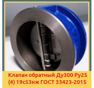 Клапан обратный Ду300 Ру25 (4) 19с53нж ГОСТ 33423-2015 в Караганде