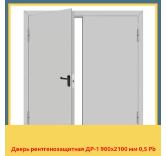Дверь рентгенозащитная ДР-1 900х2100 мм 0,5 Pb