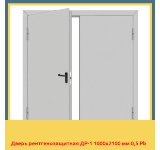 Дверь рентгенозащитная ДР-1 1000х2100 мм 0,5 Pb