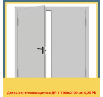 Дверь рентгенозащитная ДР-1 1100х2100 мм 0,25 Pb