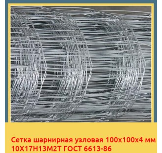 Сетка шарнирная узловая 100х100х4 мм 10Х17Н13М2Т ГОСТ 6613-86 в Караганде