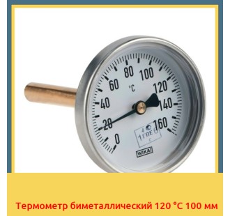 Термометр биметаллический 120 °С 100 мм в Караганде